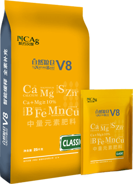 V8 CLSSIC