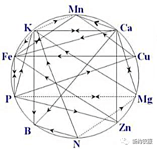 【智·農】如何避免元素打架？
