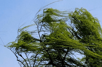 暴風(fēng)雨天氣--天氣變化與注意事項(xiàng)