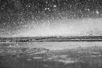 雷陣雨天氣--天氣變化與種植注意事項(xiàng)