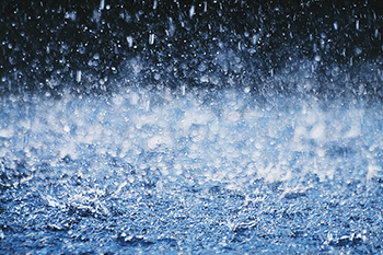 暴雨天氣--天氣變化與種植注意事項(xiàng)