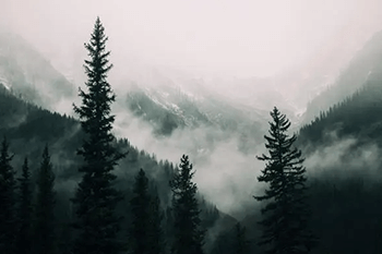 大霧天氣--天氣變化與種植注意事項(xiàng)