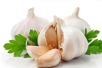 【智·農(nóng)】新約農(nóng)服大蒜CHAS管理方案，助力增收有勝“蒜”