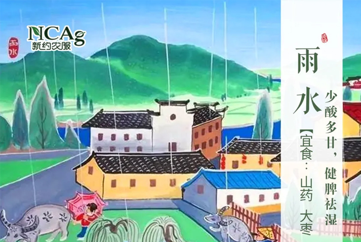 【智·節(jié)】雨水