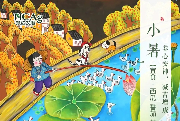 【智·節(jié)】小暑