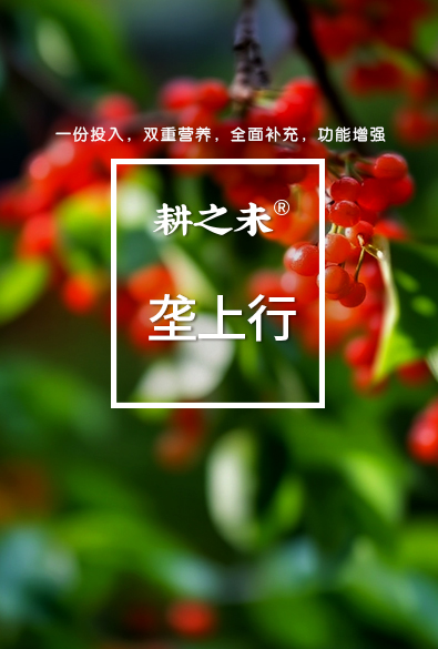 耕之未 壟上行系列