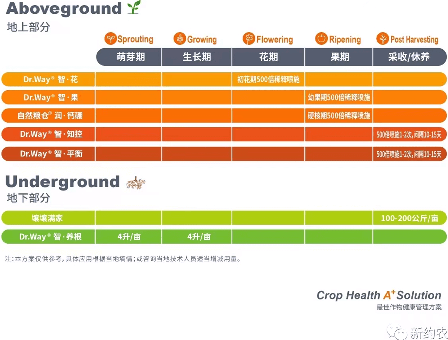 櫻桃2.png