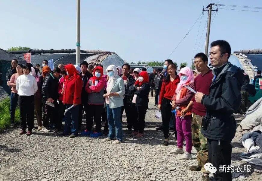 【智·農】強強聯合，“新”想“柿”成！