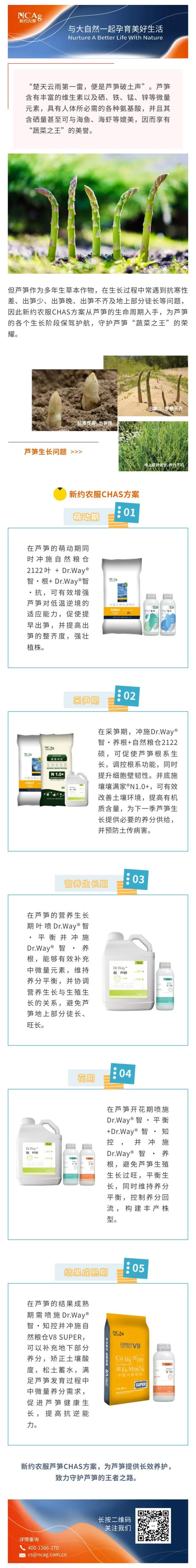 蘆筍.jpg