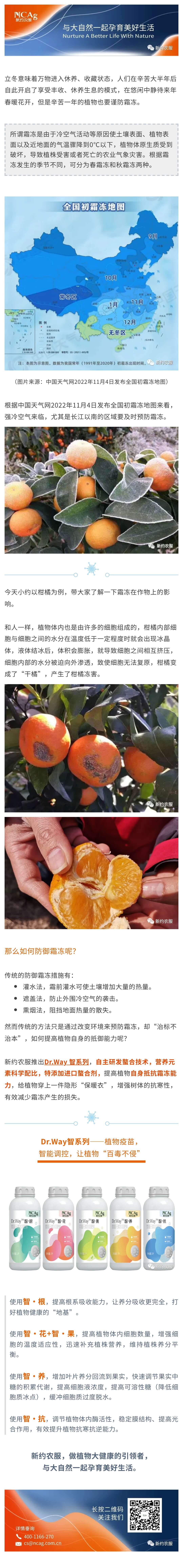 【智·農(nóng)】植物的隱形“保暖衣”——揭曉植物無懼風(fēng)寒的秘密.jpg