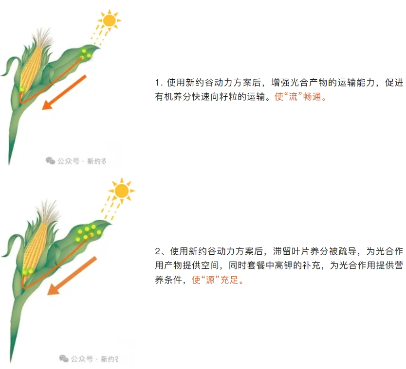 微信截圖_20240912134102.png
