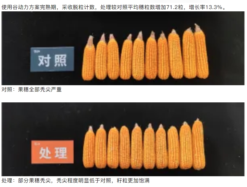微信截圖_20240912134149.png