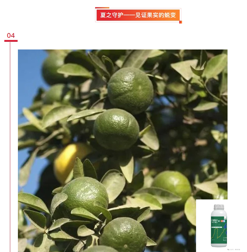 微信截圖_20240919160301.jpg